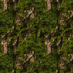 Mossy Bark 22