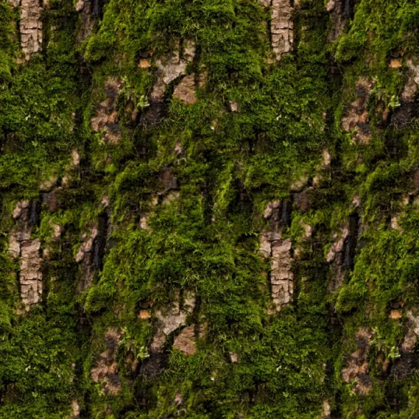 Mossy Bark 22