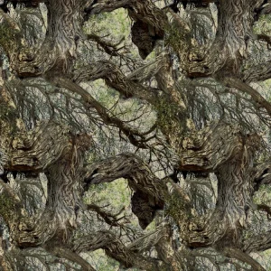 Mesquite Tree 22