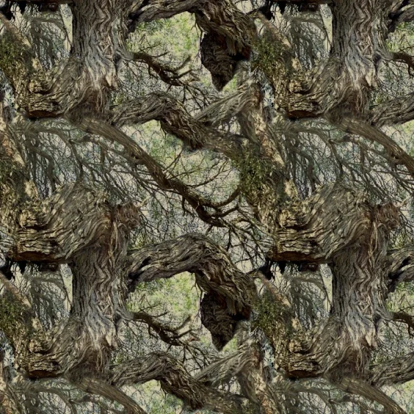 Mesquite Tree 22