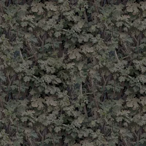 Leaves 24