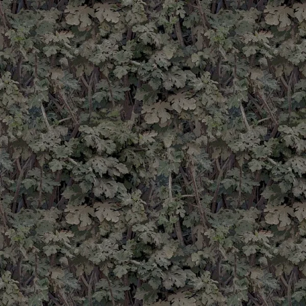 Leaves 24
