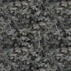 Leaves 23