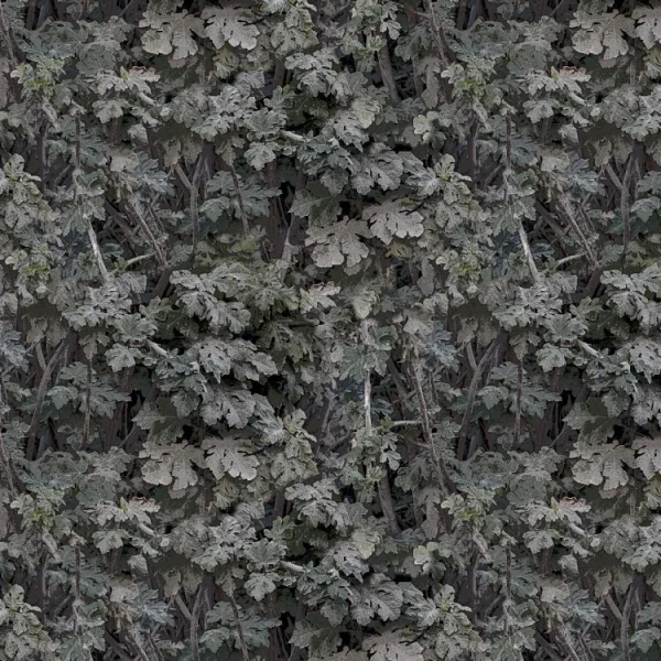 Leaves 23