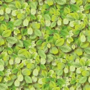 Green Leaves