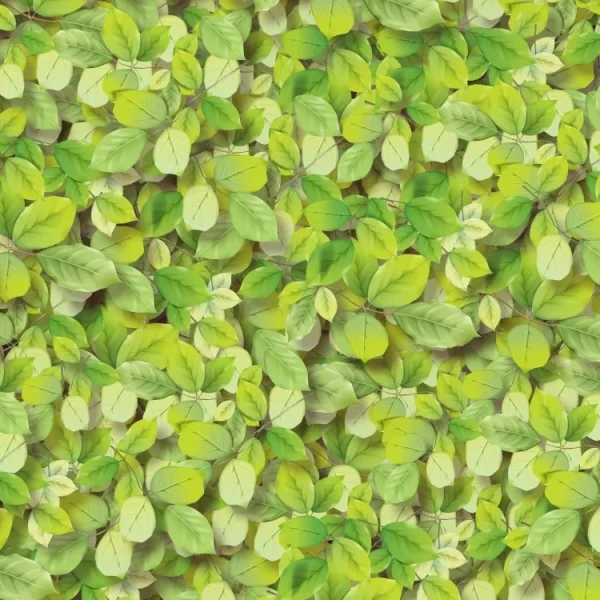 Green Leaves