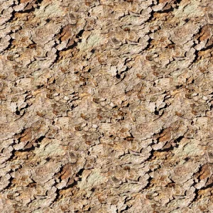 Flaky Bark