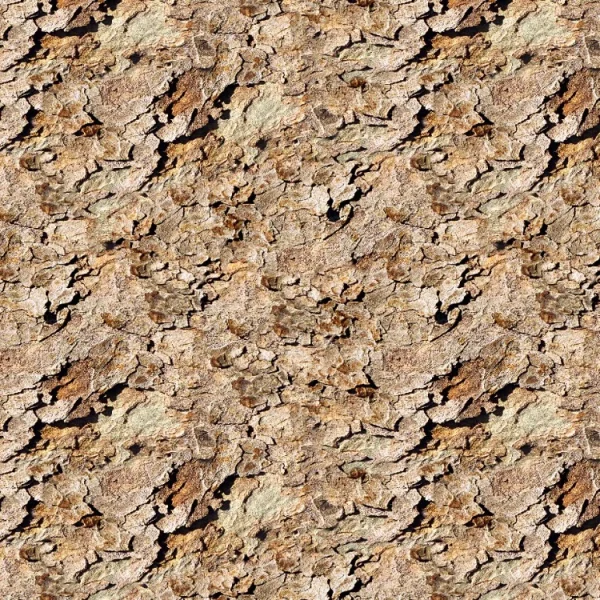 Flaky Bark