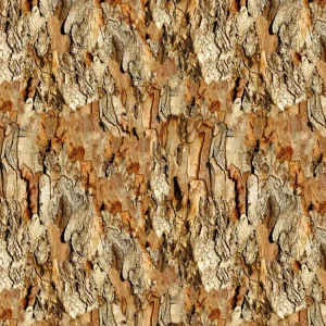 Eucalyptus Bark 23