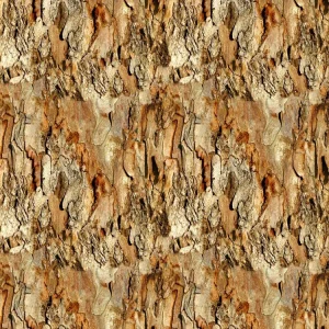Eucalyptus Bark 22