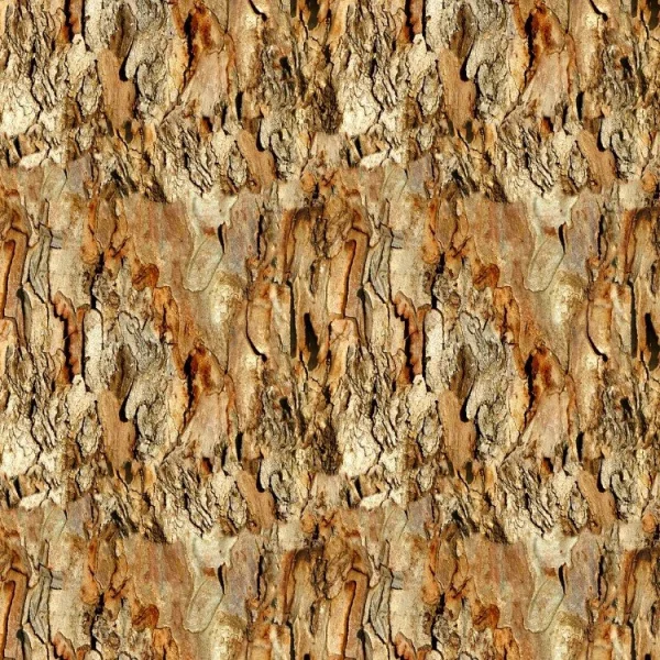 Eucalyptus Bark 22