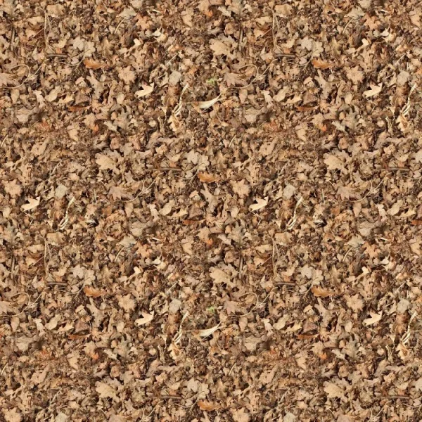 Dried Leaves 22