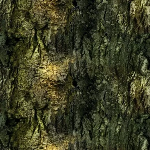 Dark Bark