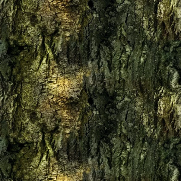Dark Bark