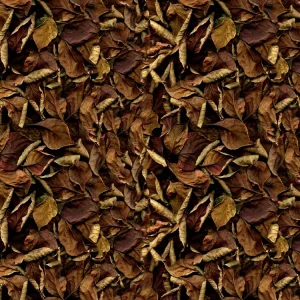 Brown Leaves 23