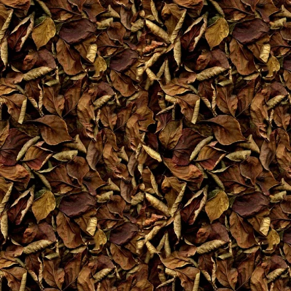 Brown Leaves 23