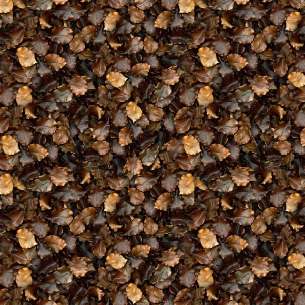 Brown Leaves 22