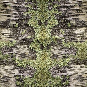 Birch Lichen Camouflage Birch Lichen Camouflage
