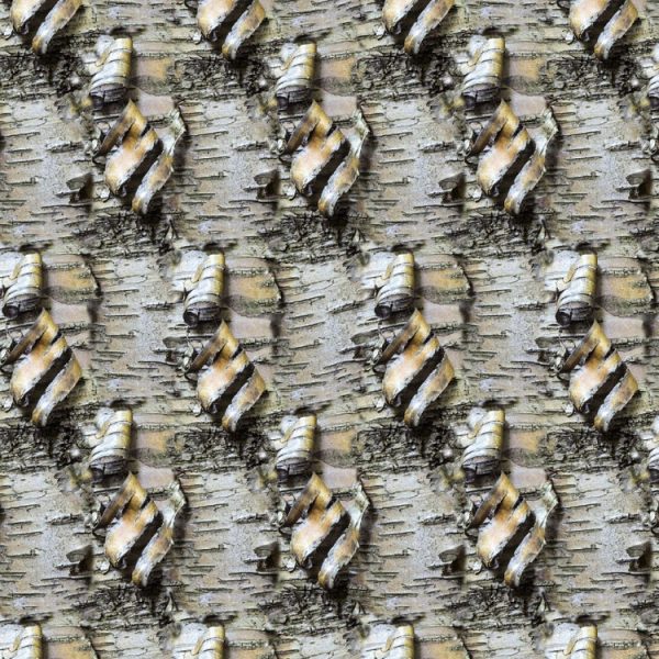 Birch Bark 33 Pattern Crew