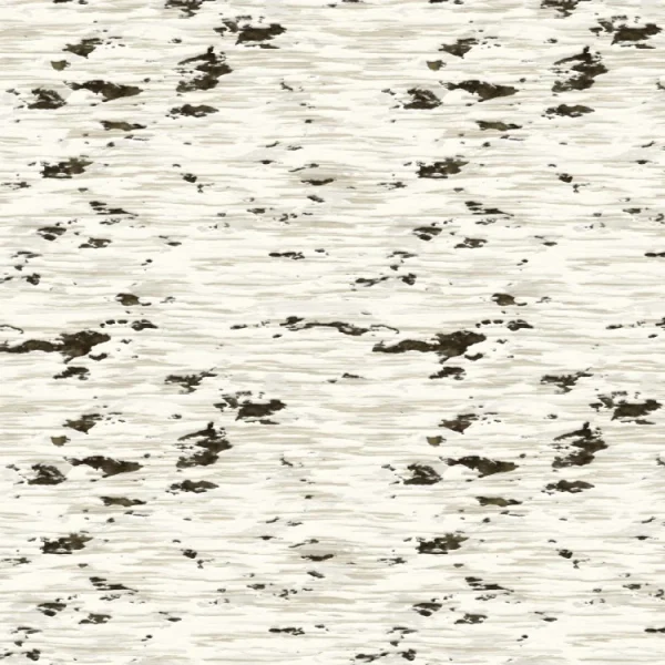 Birch Bark 31