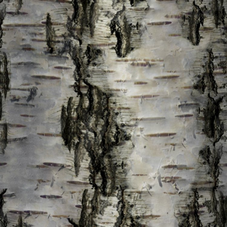 Birch Bark 29 Pattern Crew