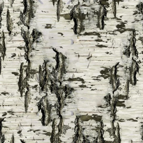 Birch Bark 27