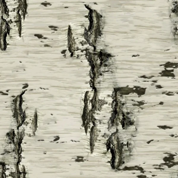 Birch Bark 25