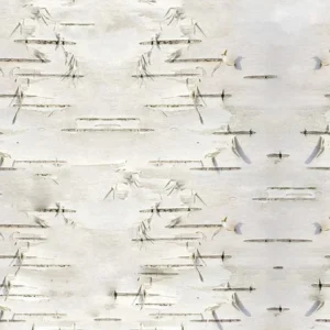 Birch Bark 23