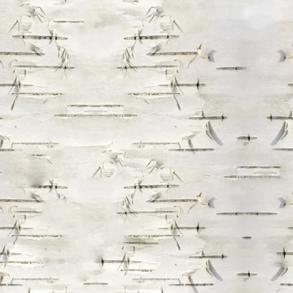 Birch Bark 23