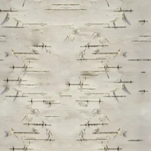 Birch Bark 22