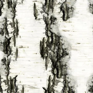 Birch Bark 21