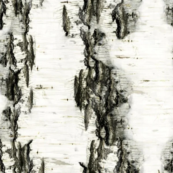 Birch Bark 21