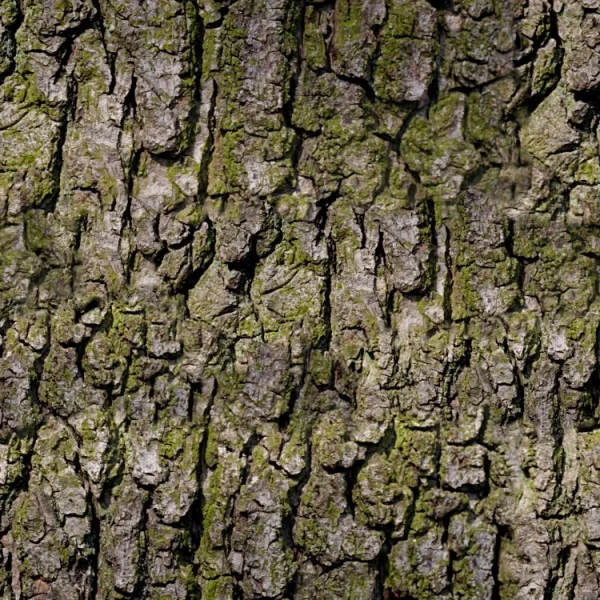 Bark 24 Camo