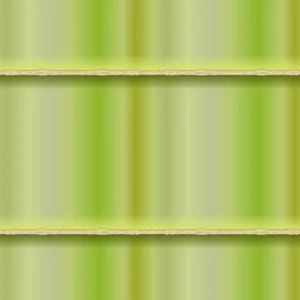 Bamboo 26