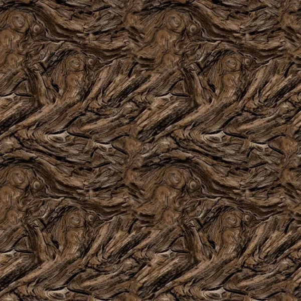 Driftwood 23