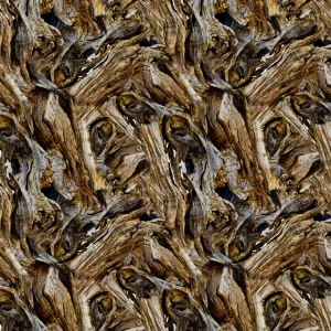 Driftwood 22