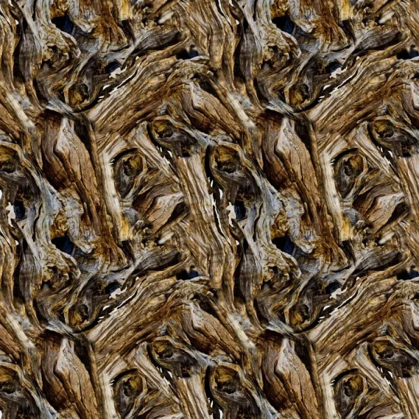 Driftwood 22
