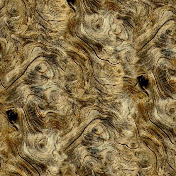 Burl Driftwood