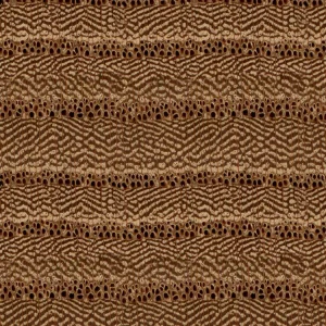 Red Elm Wood Endgrain