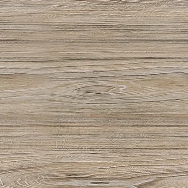 American Elm