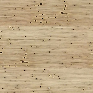 Wormy Basswood