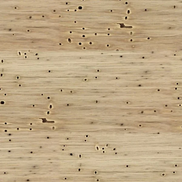 Wormy Basswood