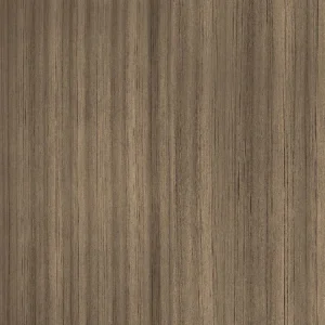 Swiss Elm