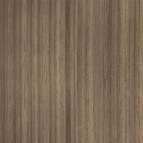 Swiss Elm