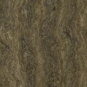 Oak Burl