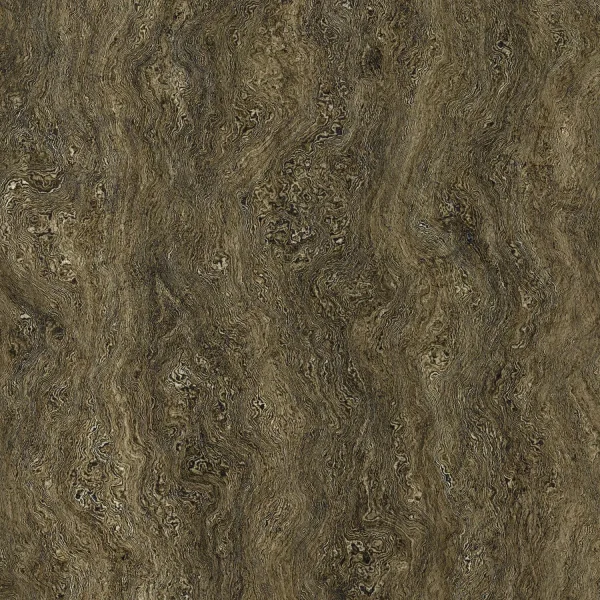 Oak Burl