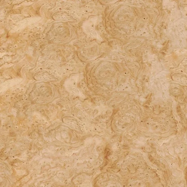 Chestnut Burl