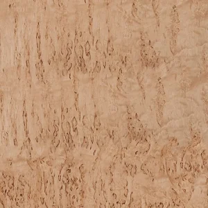 Birch Burl