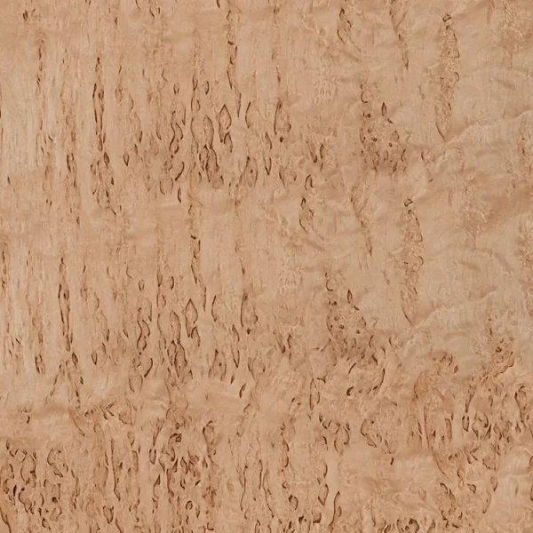 Birch Burl