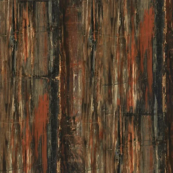 Petrified Wood 23